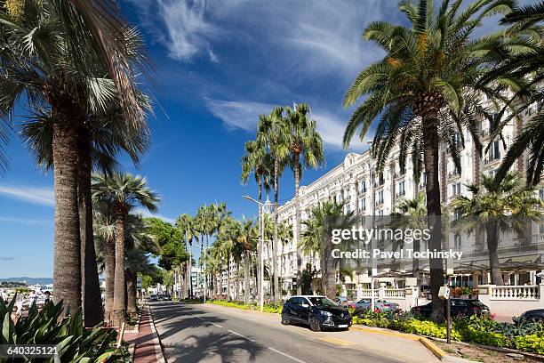 boulevard de la croisette, chic cannes waterfront - cannes croisette stock-fotos und bilder