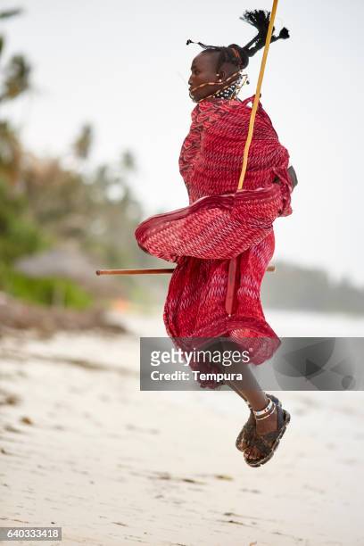 elegant maasai man jumping in zanzibar's beach. - jig stock pictures, royalty-free photos & images