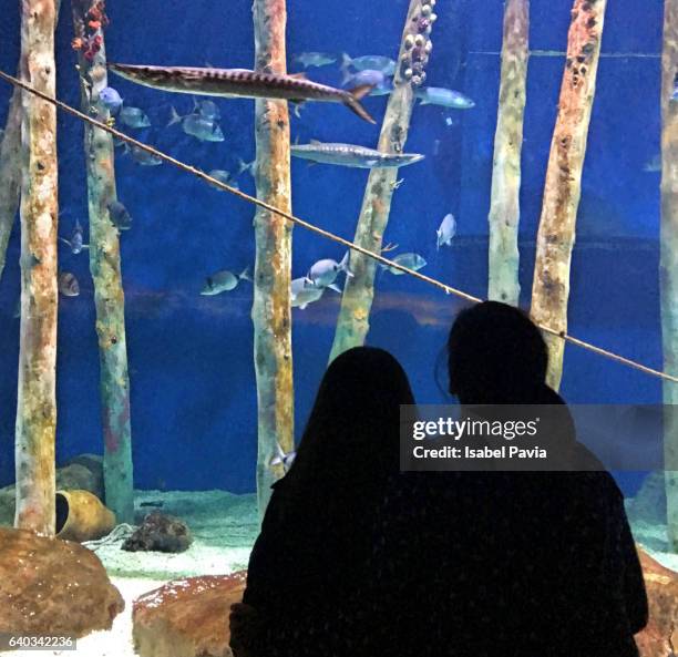 mother and daughter at aquarium - handrücken stock-fotos und bilder