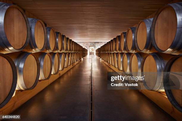wine cellar - wijnvat stockfoto's en -beelden