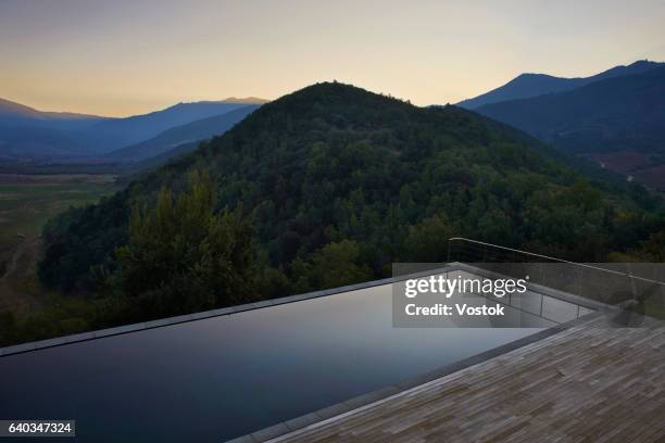 outdoor pool in a luxurious hotel  in vineyards in chile - swimming pool hill stock pictures, royalty-free photos & images