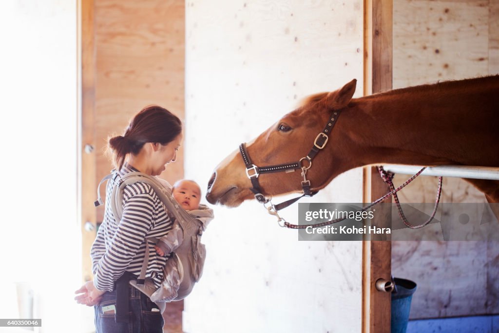 Mother and baby communicating with horse in the stable