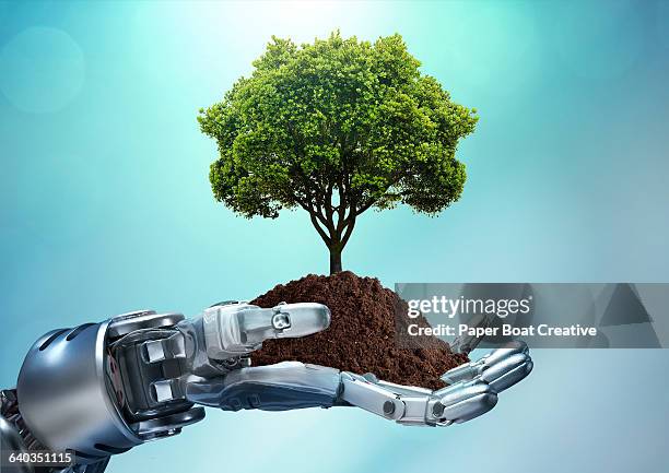 robot hand holding a tree grounded with soil - digitally generated image nature stock pictures, royalty-free photos & images