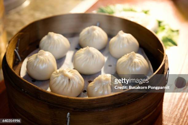 shanghai style meat dumplings - chinese soup bildbanksfoton och bilder