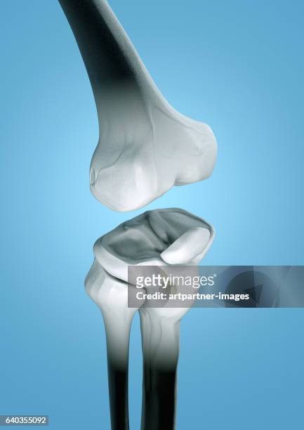 human knee, illustration - raytracing stockfoto's en -beelden