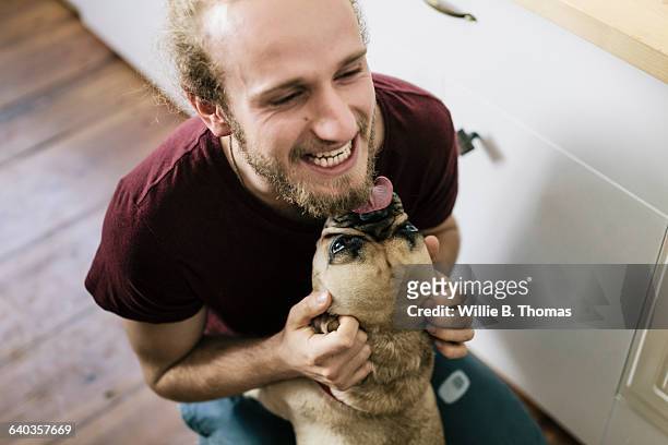 dog licking face of owner - dog stock-fotos und bilder