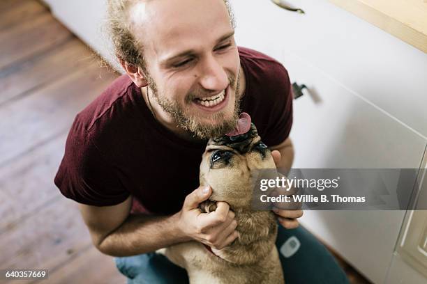 dog licking face of owner - man dog home bildbanksfoton och bilder