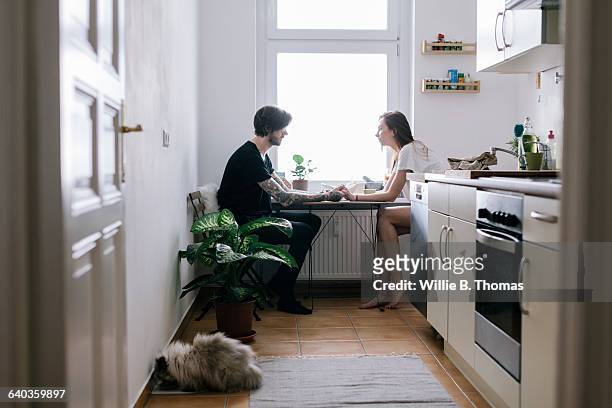 morning romance in the kitchen - einzelnes tier stock-fotos und bilder