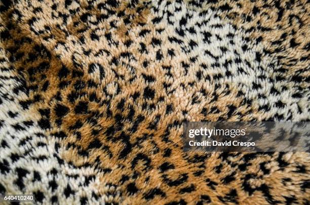 leopard - patrón de leopardo fotografías e imágenes de stock