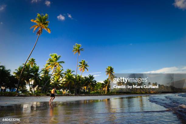rockly beach, tobago, trinidad & tobago - trinité et tobago photos et images de collection
