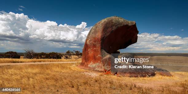 murphys haystacks wave - port lincoln stock pictures, royalty-free photos & images