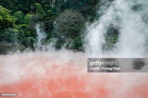 hells of beppu: chinoike jigoku (blood pond hell) - shiloh national military park stock pictures, royalty-free photos & images