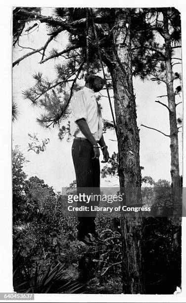 Lynched African American man hangs from a noose in a tree.