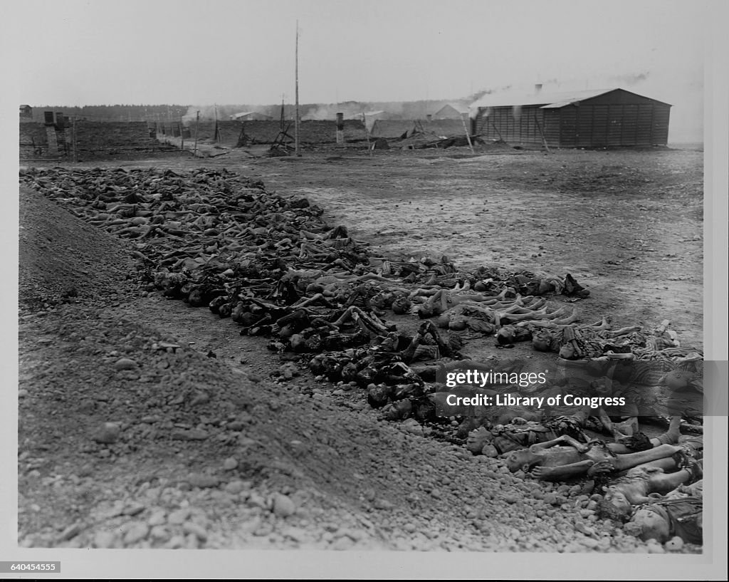 Corpses of Concentration Camp Inmates