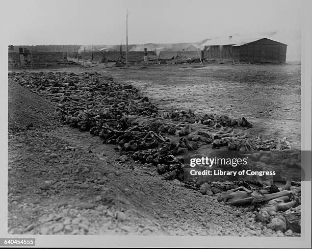 Hundreds of emaciated corpses litter the ground at a concentration camp, awaiting burial in a mass grave. Germany, April 8-24, 1945.