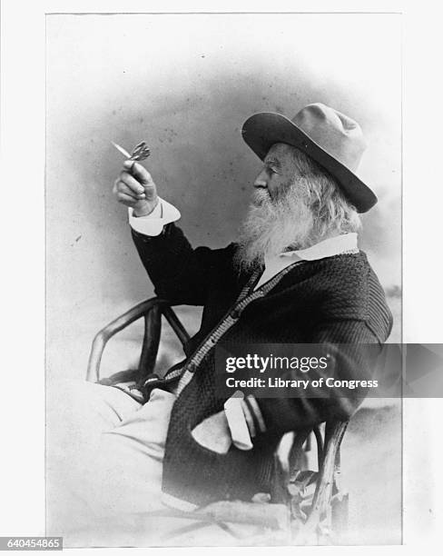 Profile portrait of poet Walt Whitman holding a butterfly. Whitman's distinctive, frank poetry met with misunderstanding and adverse criticism for...