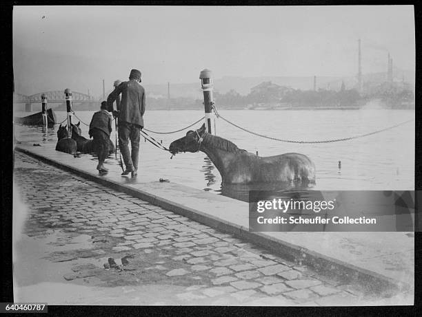 Two men bathe horses in the Vltava River. Podskali, Prague, Czech Lands, 1905-1910. | Location: Podskali, Prague, Czech Lands.