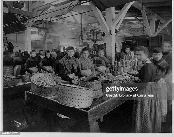Women Canning Oysters