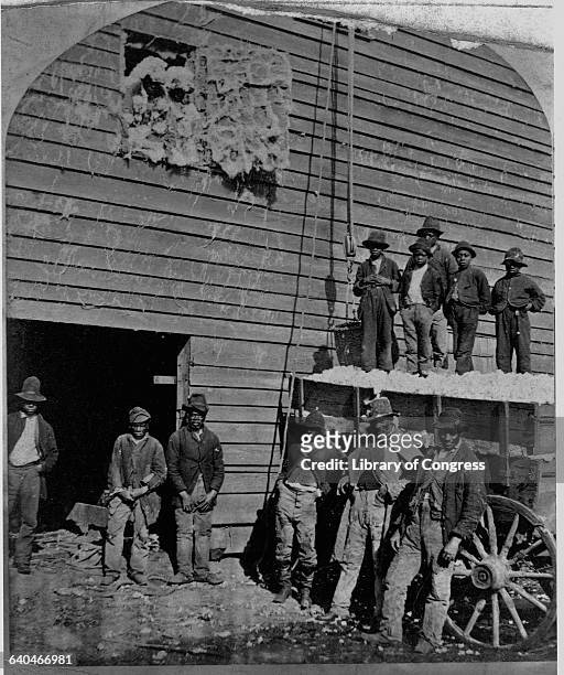 Farm workers stand outside a cotton gin, with bits of cotton covering everything.