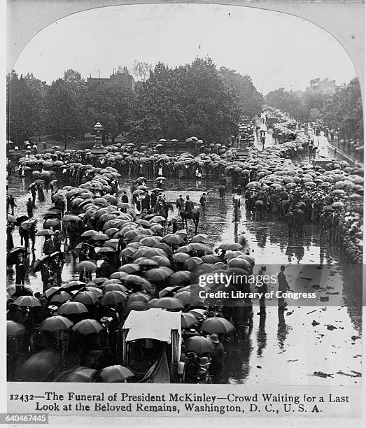 Throngs of mourners with umbrellas wait to pay respects to assassinated President William McKinley, whose body was on its way to his hometown of...