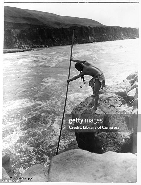 Photograph of a Wishram man spearing salmon in the Columbia River, published in Volume VIII of The North American Indian by Edward S. Curtis. |...