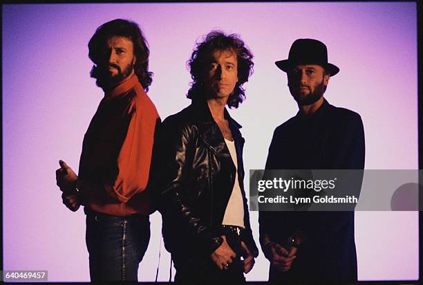The Bee Gees : Barry Gibb, Robin Gibb, and Maurice Gibb.