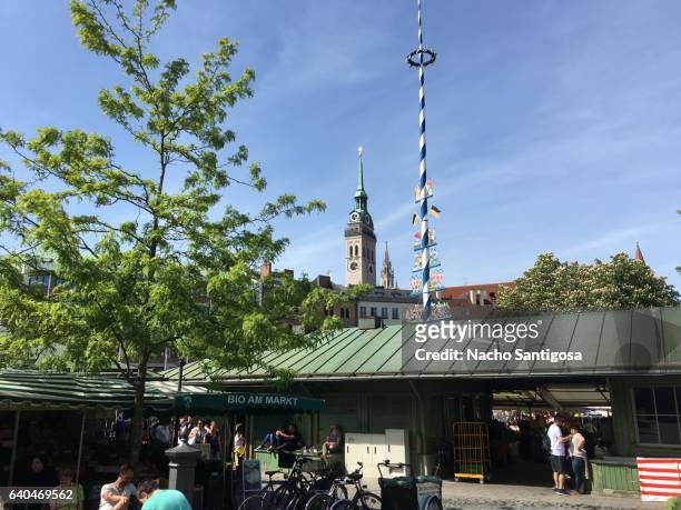 virtualienmarkt in munich - maibaum münchen stock-fotos und bilder