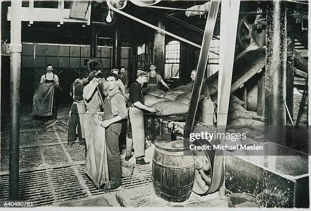 Mill workers at the California and Hawaiian Sugar Refining Company load sacks of sugar as they slide down a shute in the early 1900s.