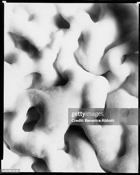 Magnified view of cheese mold, Massachusetts, late 1950s. Between 1958 and 1961, Abbott worked for the Physical Science Study Committee at the...