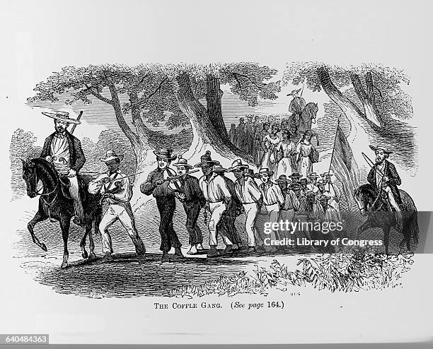 An engraving by Vaningen-Snyder from The Suppressed Book About Slavery published in 1864, entitled, The Coffle Gang depicts a group of slaves chained...