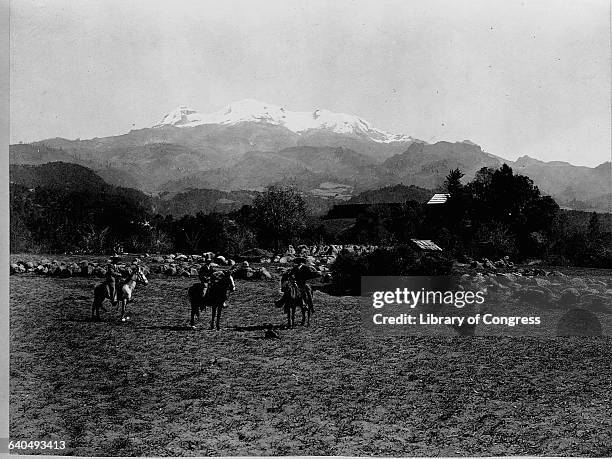 Three horsemen ride on a ranch's pasture in the shadow of the Ixtaccihuatl extinct volcano. Near Mexico City, Mexico. | Location: Near Mexico City,...
