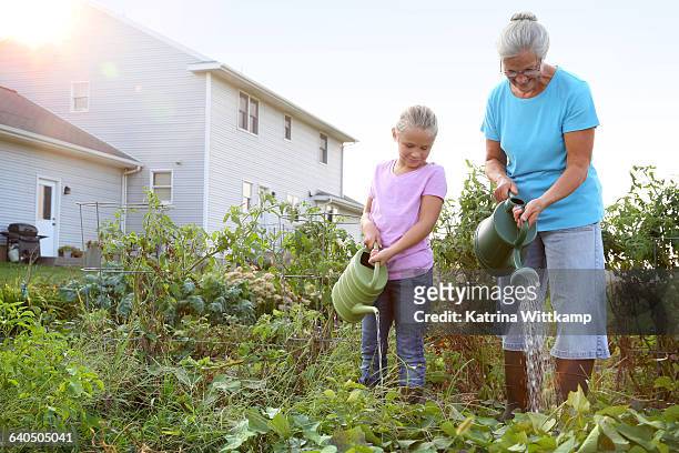 older female farmer with granddaughter - iowa house stock pictures, royalty-free photos & images