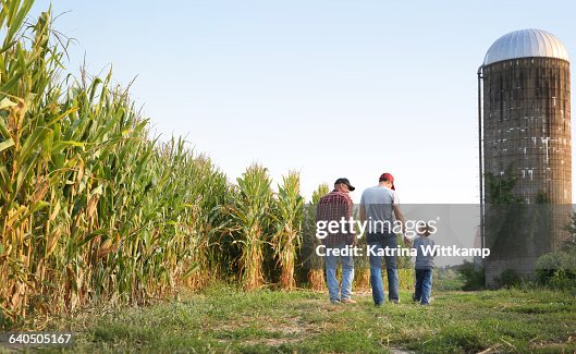 Three generations on farm Three generations on farm
