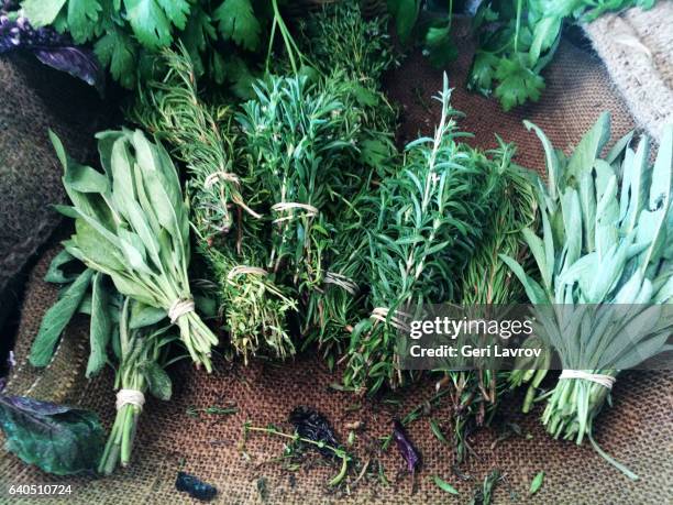 variety of herbs - kruidengeneeskunde stockfoto's en -beelden