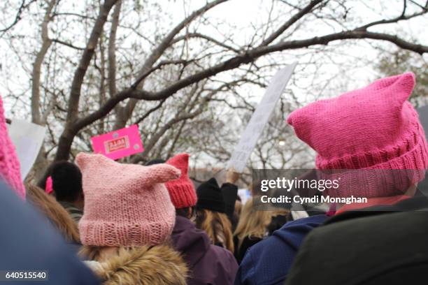 pink hats at the women's march - rosa hut stock-fotos und bilder