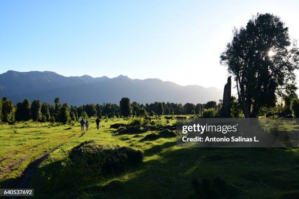 small group of people doing trekking at puerto varas - monteverde cloud forest stock pictures, royalty-free photos & images