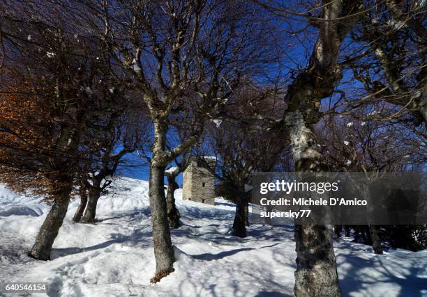 traditional hunting structure in the lombard alps under snow. - supersky77 2014 foto e immagini stock