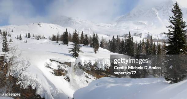 thick snow cover at the timberline on the alps - supersky77 2014 foto e immagini stock