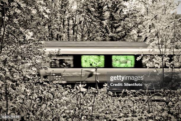 train passing in the woods - silentfoto sheffield stock pictures, royalty-free photos & images