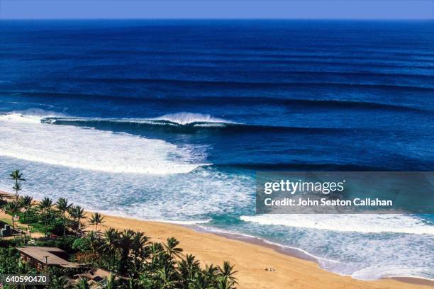 winter surfing at the pipeline - sunset beach fotografías e imágenes de stock