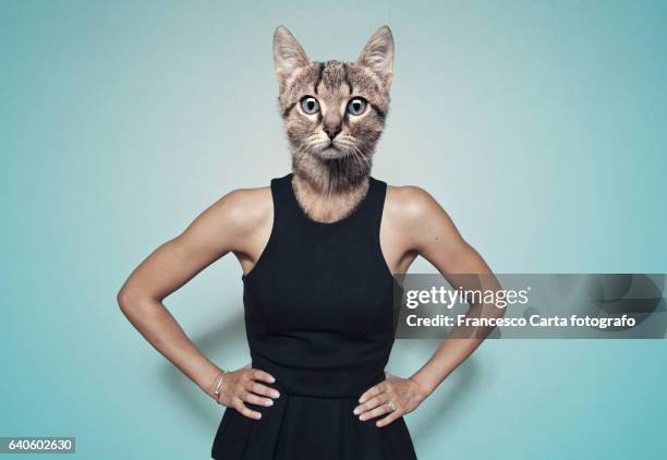 metamorphosis - morphing stock-fotos und bilder