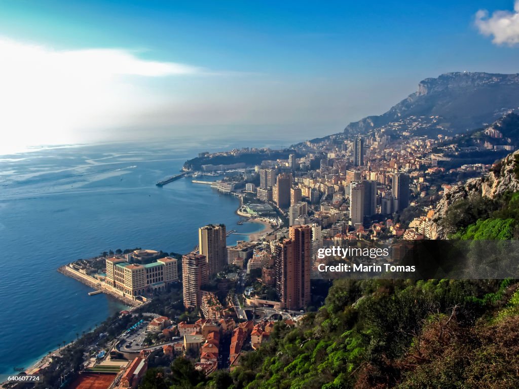 Monte Carlo panorama
