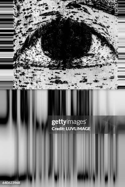 eye with bar code-like design. - barcode pattern stock pictures, royalty-free photos & images
