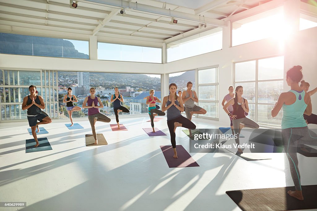 Large yoga class standing on one leg