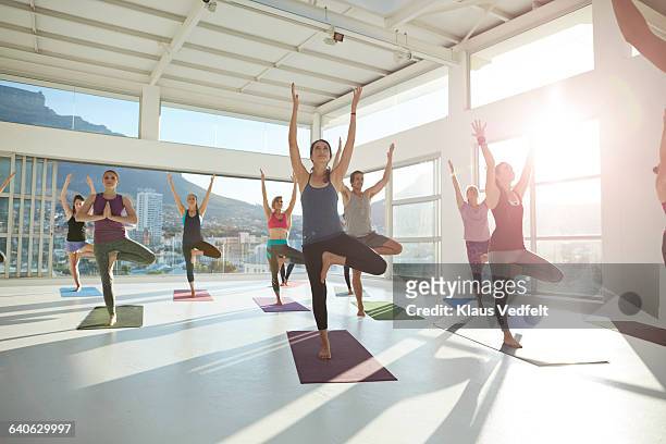 large group of yogis balancing on 1 leg - yoga group stock-fotos und bilder