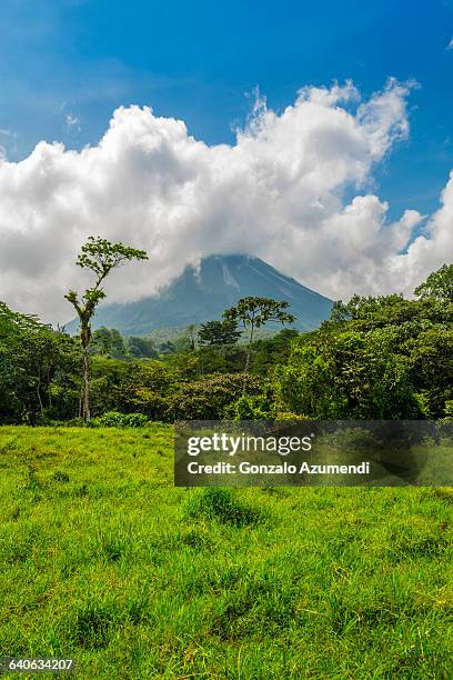 arenal volcano national park - arenal volcano national park stock pictures, royalty-free photos & images