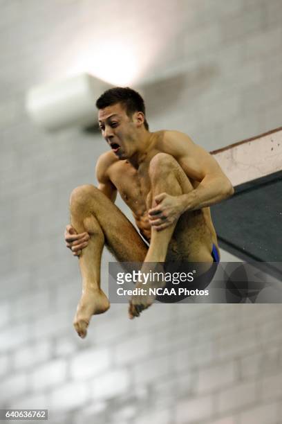 Nick McCrory of Duke University dives in the Men's Platform competition during the Division I Men's Swimming and Diving Championships held at the...