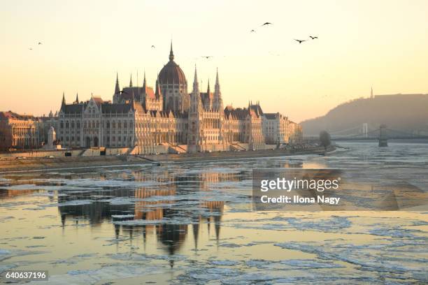 the hungarian parliament building, budapest, hungary - budapest winter stock pictures, royalty-free photos & images