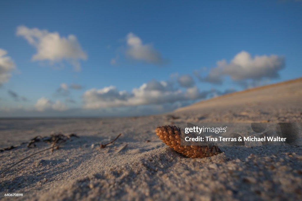 Sonnenaufgang Sylt
