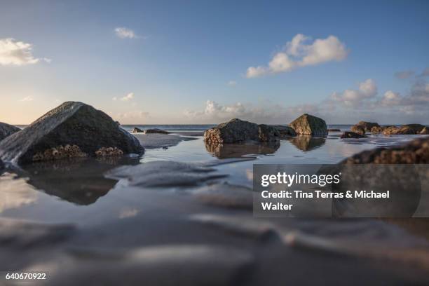 sonnenaufgang sylt - tina terras michael walter stock pictures, royalty-free photos & images